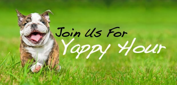 Join us for Yappy Hour!