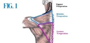 SPOONER SHOULDER PAIN #1