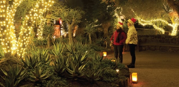 Desert Botanical Garden: A Desert Holiday Tradition