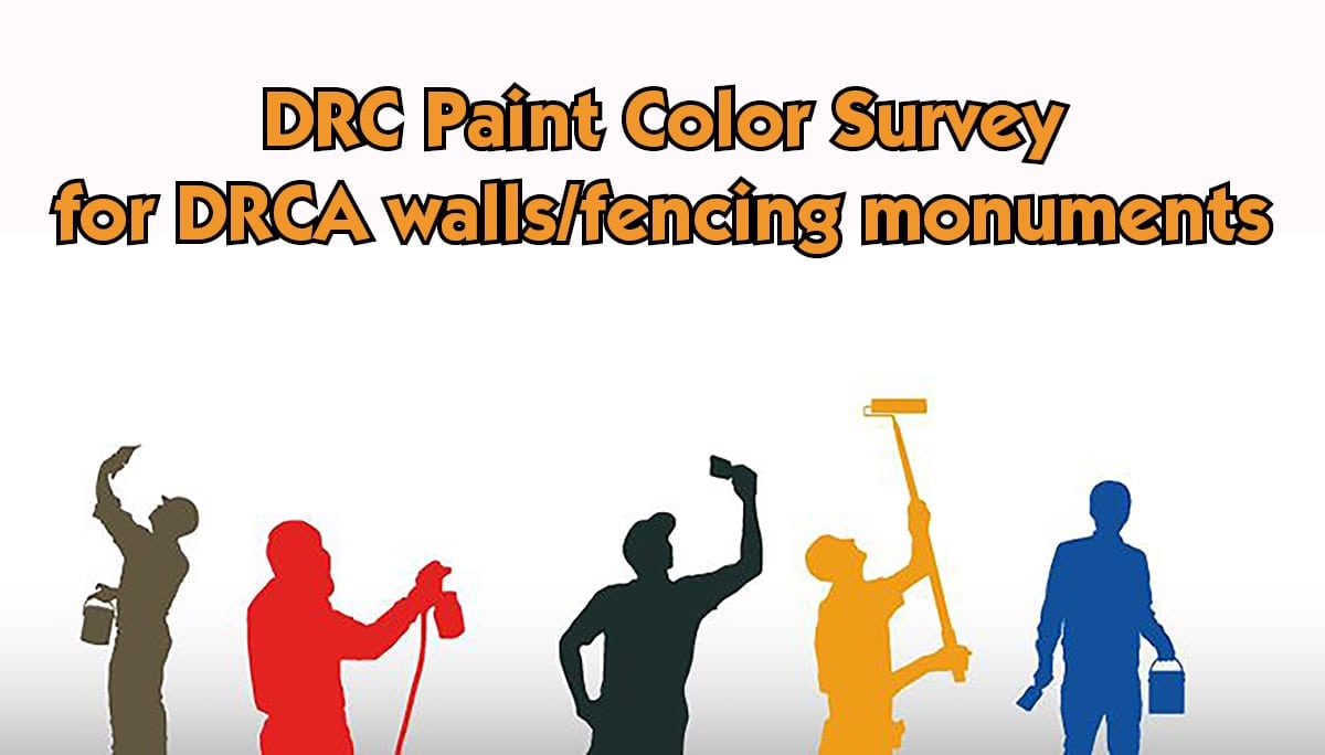 DRC Paint Color Survey