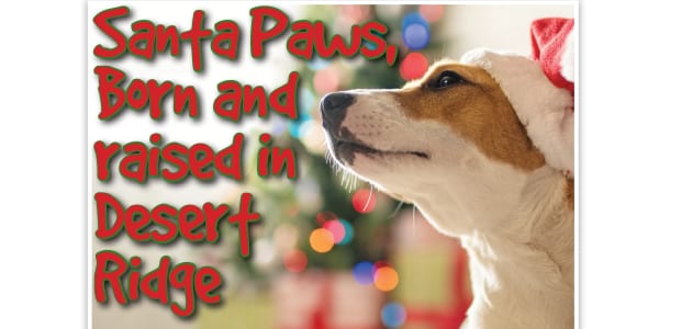 Santa Paws, Born and raised in Desert Ridge