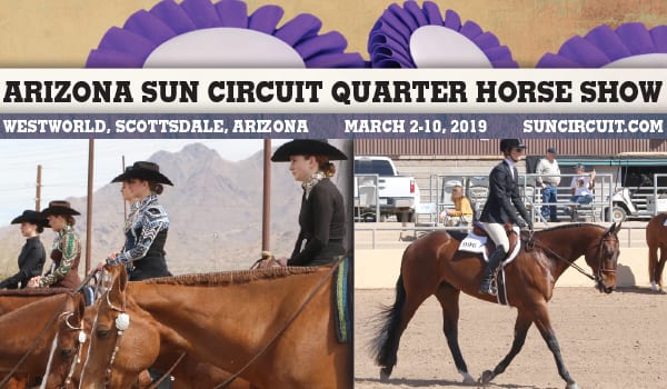 Arizona Sun Circuit Horse