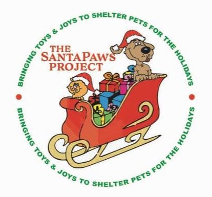 Bringing Toys, Joys, and Emotional Support to Shelter Pets