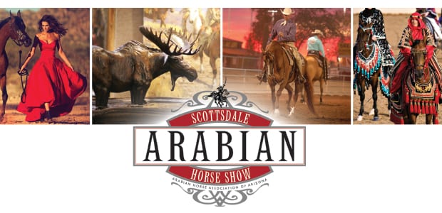 World’s Largest Arabian Horse Show Returns to Scottsdale