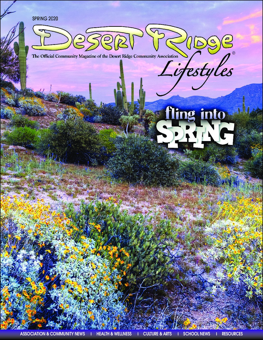 Desert Ridge Lifestyles Magazine – Spring 2020