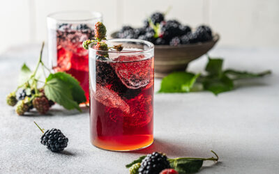 Blackberry-Lime Porch Punch