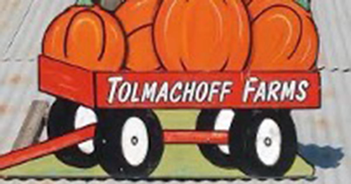 Pumpkin Patch at Tolmachoff Farms