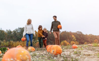 Autumn festivities for the whole family: Local Arizona Pumpkin Patches