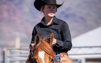 Scottsdale Arabian Horse Show