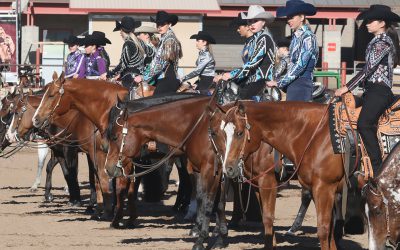 Sun Circuit Returns to WestWorld in March